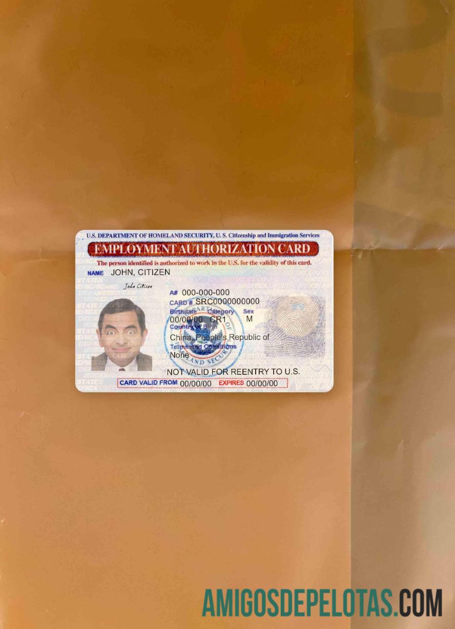 United States Employment Authorization Card olhar de foto frente exemplo